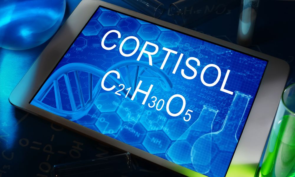 Signs Cortisol Levels Are High