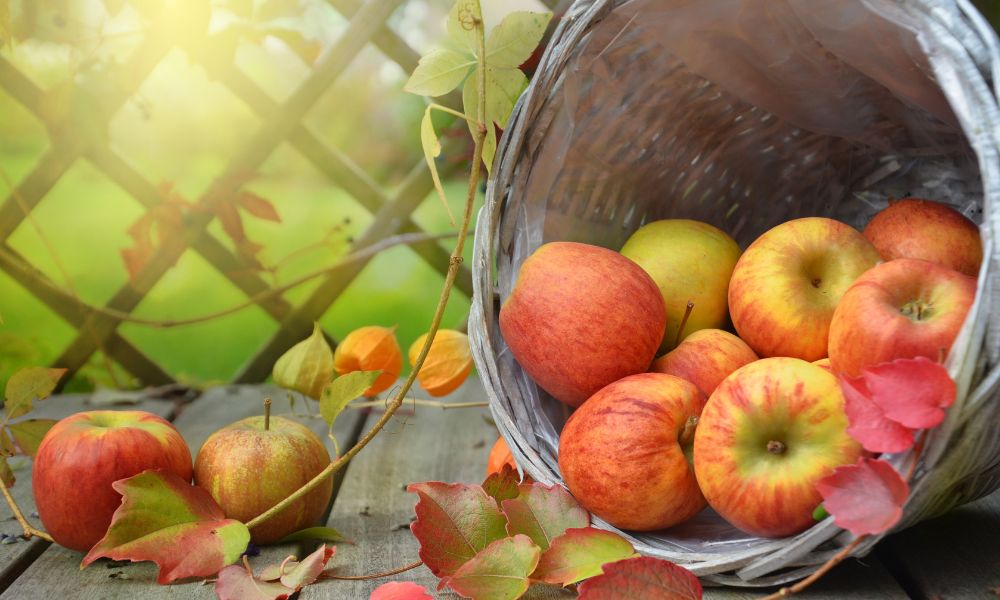 Apples for Diabetics