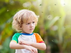 Insect Bites And Ticks