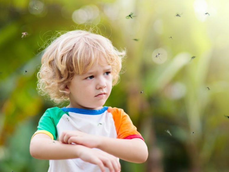 Insect Bites And Ticks