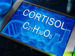 Signs Cortisol Levels Are High